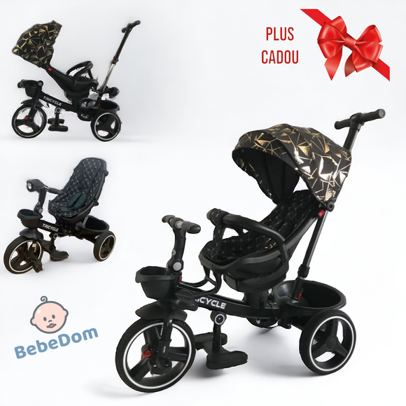 Tricicleta pentru copii, cu pozitie de somn si scaunel tip scoica reversibil,  culoare negru/auriu, BBD6017NA