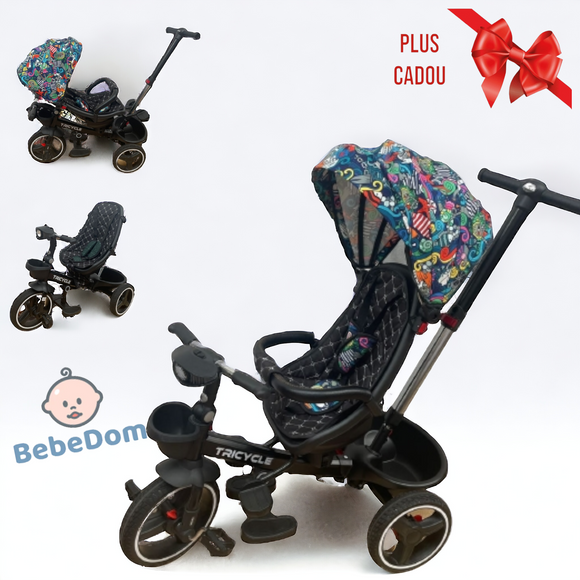 Tricicleta pentru copii, muzicala,cu pozitie de somn si scaunel tip scoica reversibil,  MULTICOLOR, BBD6017MC