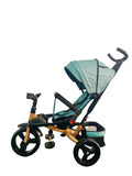 Tricicleta cu pozitie de somn, scaun rotativ si muzica distractiva, Verde Menta, Cadrul auriu