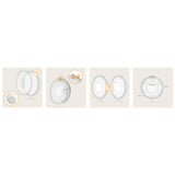 Colector de lapte, Lionelo, Milky, 2 buc, Se potriveste tuturor sutienelor, Cutie depozitare igienica inclusa, Fara bisfenol A, Capacitate 40 ml, Transparent