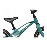 Bicicleta fara pedale, Lionelo, Bart Air, Usoara, Cu roti gonflabile, Cu cadru din magneziu, Cu ghidon si sa reglabile, Greutate 3.8 Kg, 12 inch, Conform cu standardul european de securitate EN71, Green Forest
