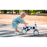Bicicleta fara pedale, Lionelo, Sammy, Cu 4 roti, Din spuma EVA, Stabila, Manere moi, antiderapante, 12- 36 luni, Greutate maxima suportata 25 kg, Certificata EN 71-1:2014, EN 71-2:2011, EN 71-3:2019, Roz