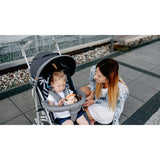 Carucior sport, Lionelo, Elia, Cu plasa de tantari, Conform cu standardul european de securitate EN1888-1, Gri