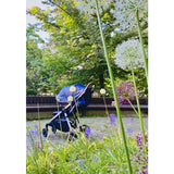 Carucior sport, Petite&Mars, Royal, Include husa pentru scaun, husa pentru picioare, geanta pentru scutece si capotina extensibila, Cu fereastra, Impermeabila, Cu SPF 50, Aluminiu, 0-22 kg, 111 x 57 x 86 cm, Mature Olive