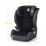 Scaun auto, Lionelo, i-Size Igo, 100- 150 cm, Cu isofix, Protectie laterala, Ajustare spatar in 2 pozitii, Tetiera Tri-Guard reglabila in 11 pozitii, Conform cu standardul european de securitate R129, Gri