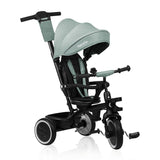 Tricicleta copii, Lionelo, Berry, 2 in 1, Multifunctionala, Suport picioare, Control al directiei, Scaun reversibil, Rotire 360 grade, Functie de roata libera, Utilizare pana la 5 ani, Constructie din otel, Conform cu standardul EN71, Verde